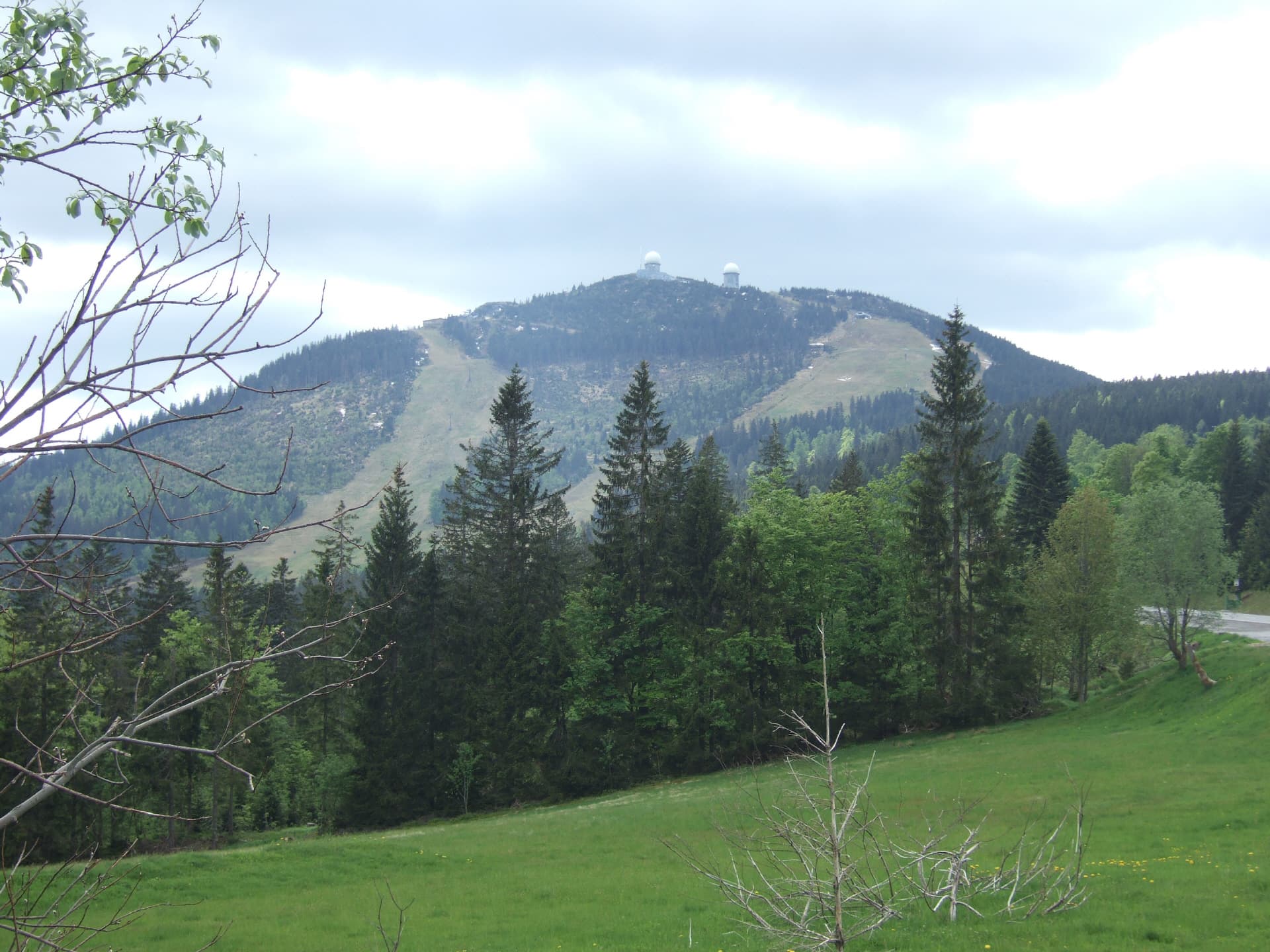 Blick auf den großen Arber
