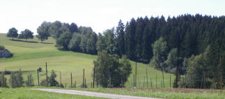 Hopfenanbaugebiet